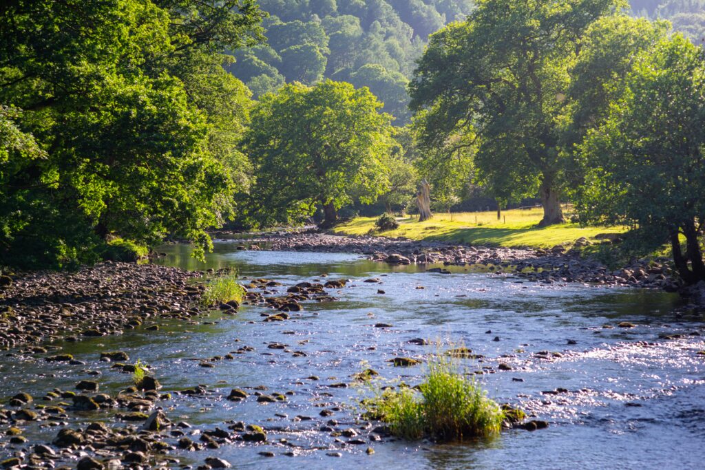 scene of a babbling brook with stones on the shore, large green trees on either side and a green field. The sun is shining through the trees.